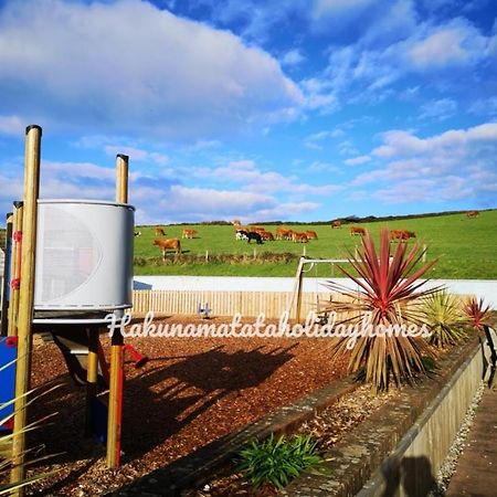 Hakuna Matata Holiday Home New Quay Екстериор снимка