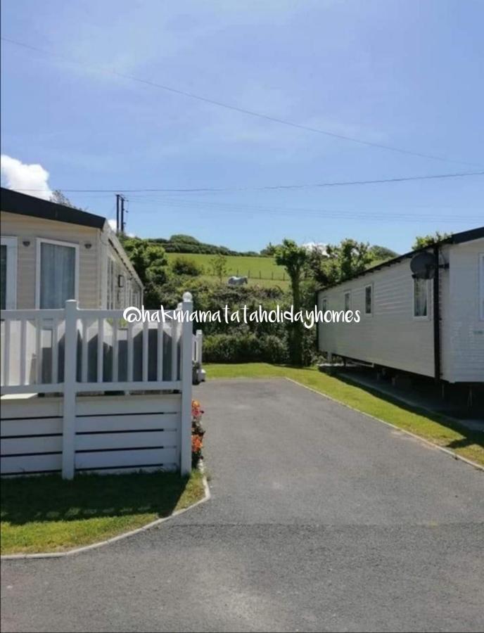 Hakuna Matata Holiday Home New Quay Екстериор снимка