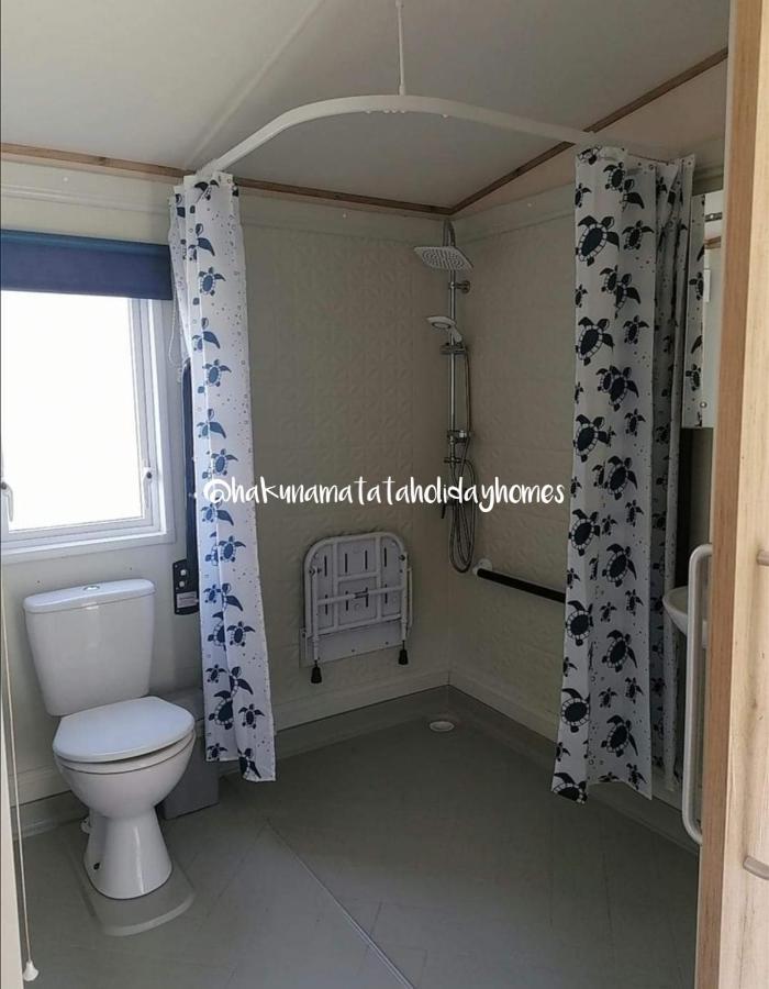 Hakuna Matata Holiday Home New Quay Екстериор снимка