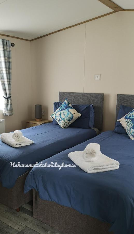 Hakuna Matata Holiday Home New Quay Екстериор снимка